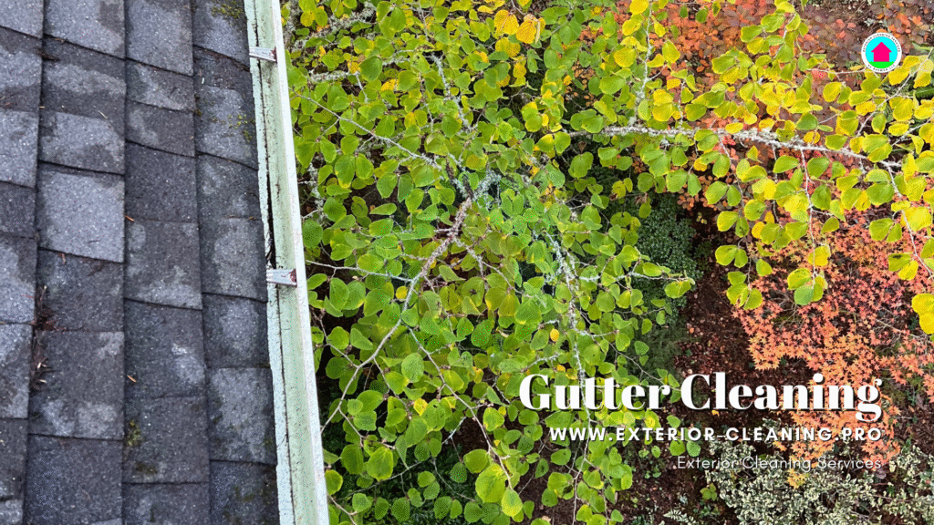 gutter cleaning by bekman